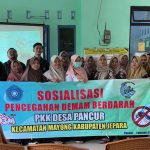 Sosialisasi Penegahan Demam Berdarah (DBD) di Desa Pancur. (Dokumentasi KKN Unisnu)