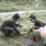 Penanaman Pohon oleh Tim KKN Unisnu Desa Tempur. (KKN Unisnu Tempur)